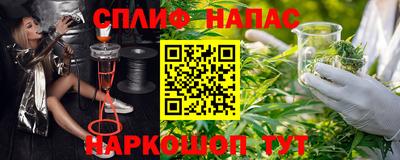 apvp Ростов Великий